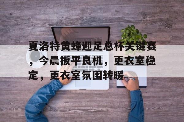 爱游戏-夏洛特黄蜂迎足总杯关键赛，今晨扳平良机，更衣室稳定，更衣室氛围转暖的简单介绍